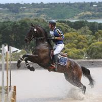 Dale Flynn Photo 6
