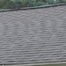 Bob Dennison Photo 16