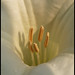 Hal Davis Photo 37