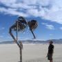Terry Wolfe Photo 42