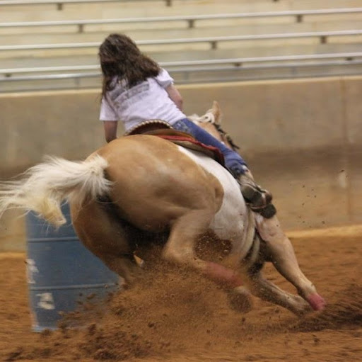 Michelle Chisholm Photo 35