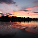 Jo Cooley Photo 16