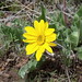 Carey Meadows Photo 8