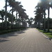 Carlton Green Photo 6