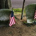Michael Ziegler Photo 46