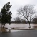 Gale Flood Photo 10