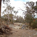 Elaine Bryant Photo 16