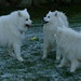 Cindy Frost Photo 39