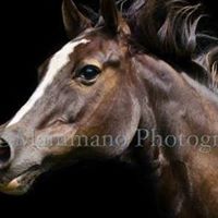 Judy Long Photo 22