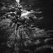 Jose Miera Photo 8