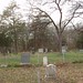 Martha Duke Photo 6