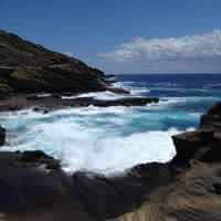 Debbie Abbott Photo 15