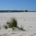 Harris May Photo 6