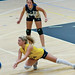 Steve Hopkins Photo 39
