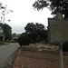 Jane Larson Photo 35