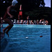 Carol Pool Photo 29