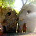 Mark Dougherty Photo 33