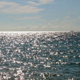 Barbara Temple Photo 32