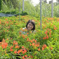 Cindy Dinh Photo 10