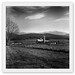 David Fink Photo 54