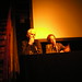 Erik Wolf Photo 22