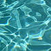 Jay Waters Photo 37