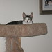 Emmett Long Photo 13