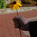 Susan Doman Photo 10