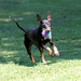 Percy Powers Photo 6