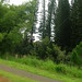Lisa Corley Photo 14