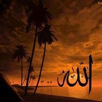 Tariq Jabbar Photo 8