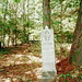 Susan Creech Photo 20