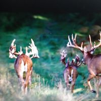 Steven Hicks Photo 42