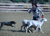 Wendy Schneider Photo 23