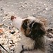 Charlie Bone Photo 11