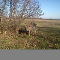 Barry Cline Photo 19
