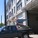 Fred Shepherd Photo 16