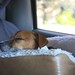 Terrie Long Photo 15