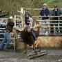 Robbie Olson Photo 21