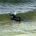 Willie Seals Photo 18