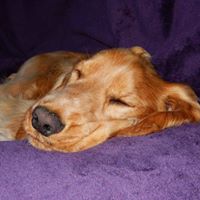 Marie Waite Photo 6