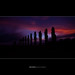 Dawn Link Photo 13