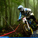 Chris Kovarik Photo 25