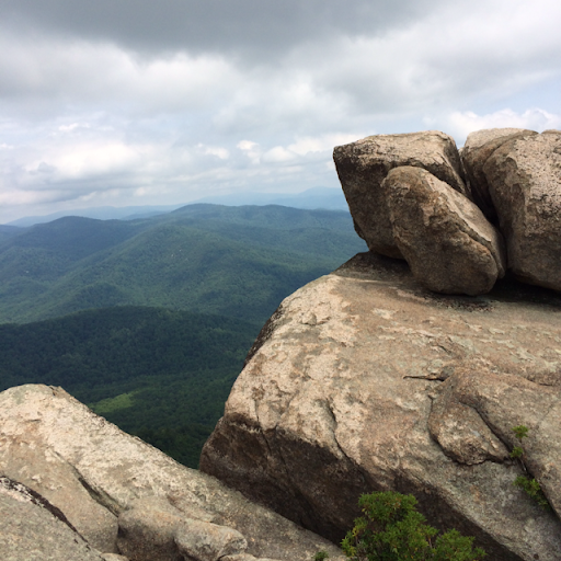 Carol Moran Photo 26