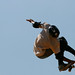 Robert Silva Photo 21