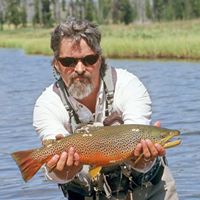 Robert Mallard Photo 9
