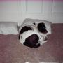 Larry Parker Photo 36