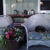 Carol Mattis Photo 4