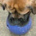 Ronnie Ball Photo 21