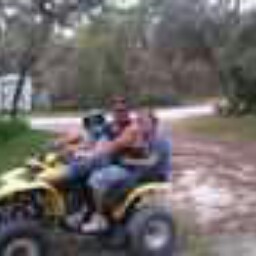Lee Harris Photo 15